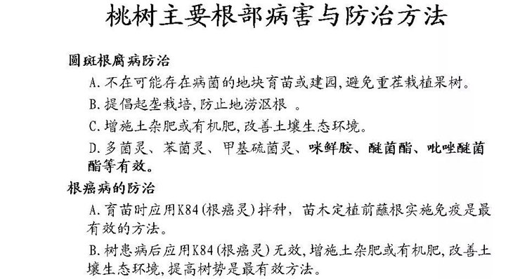 果樹病害防治技術(shù)