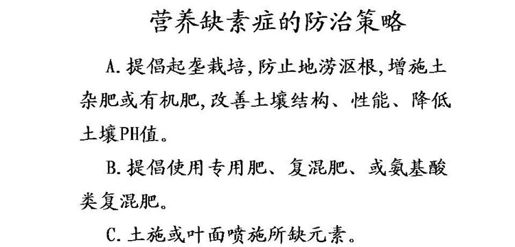 果樹病害防治技術(shù)