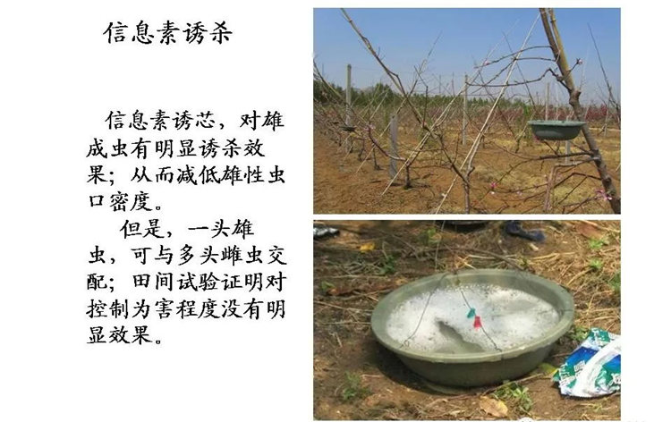 果樹病害防治技術(shù)