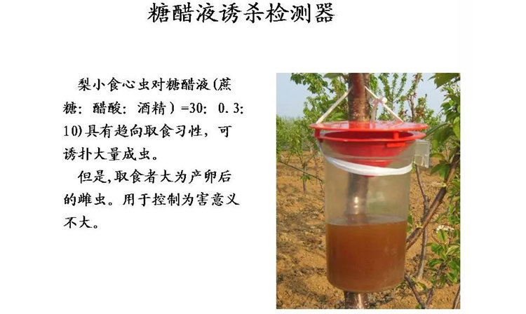 果樹病害防治技術(shù)