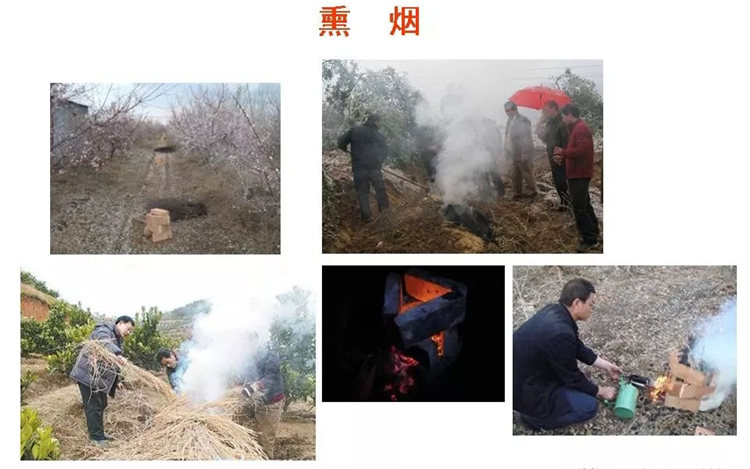 果樹病害防治技術(shù)