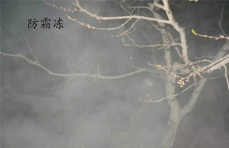 果樹病害防治技術(shù)