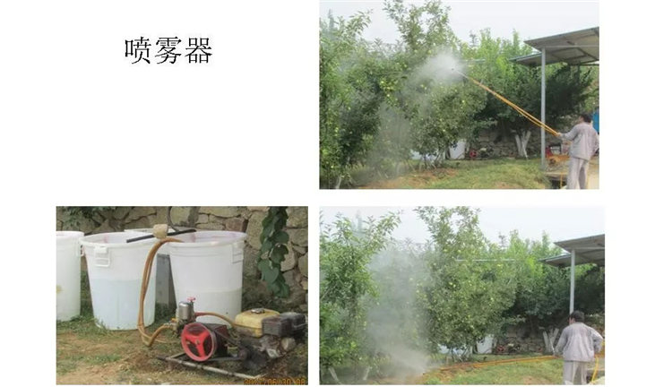 果樹病害防治技術(shù)