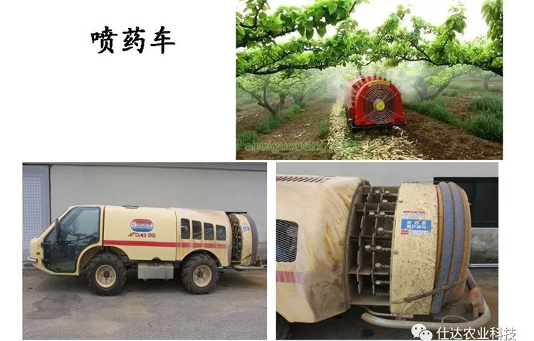 果樹病害防治技術(shù)