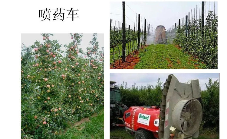 果樹病害防治技術(shù)