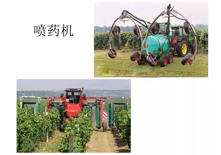 果樹病害防治技術(shù)