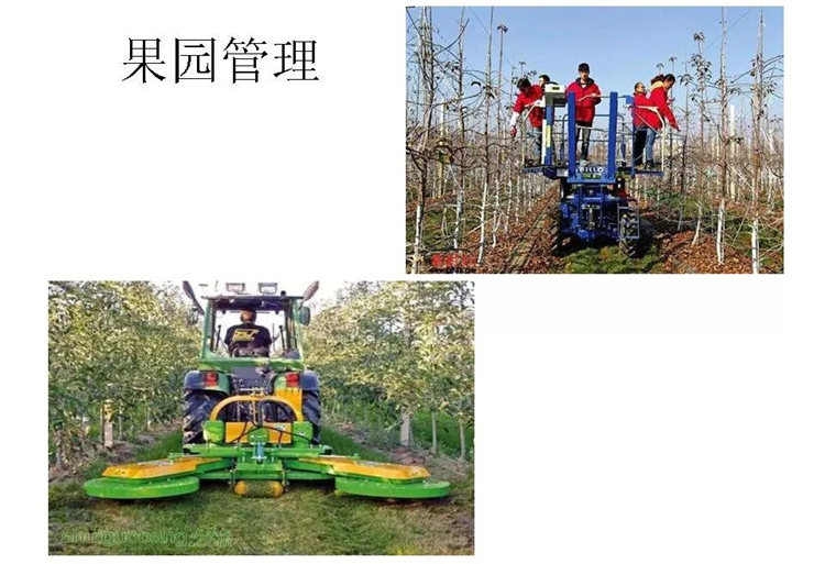 果樹病害防治技術(shù)