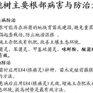 蘋果、桃、櫻桃主要病害防治技術