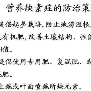 蘋果、桃、櫻桃主要病害防治技術