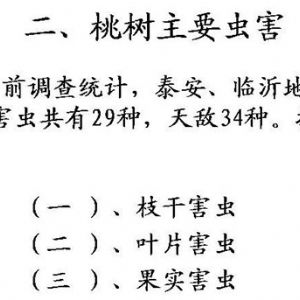 蘋果、桃、櫻桃主要病害防治技術