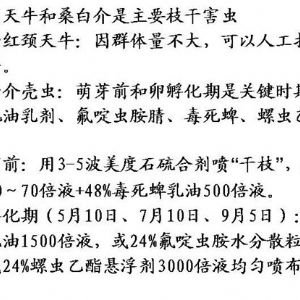 蘋果、桃、櫻桃主要病害防治技術