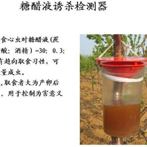 蘋果、桃、櫻桃主要病害防治技術