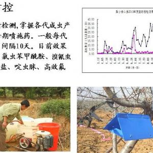 蘋果、桃、櫻桃主要病害防治技術