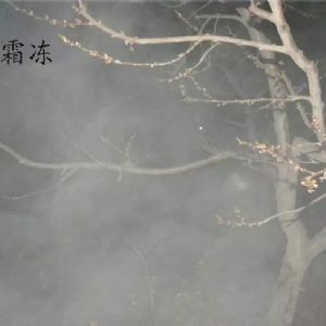 蘋果、桃、櫻桃主要病害防治技術
