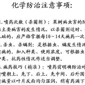 蘋果、桃、櫻桃主要病害防治技術
