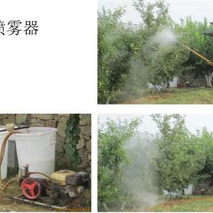 蘋果、桃、櫻桃主要病害防治技術