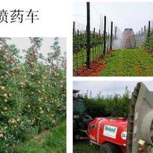 蘋果、桃、櫻桃主要病害防治技術