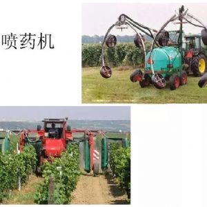 蘋果、桃、櫻桃主要病害防治技術