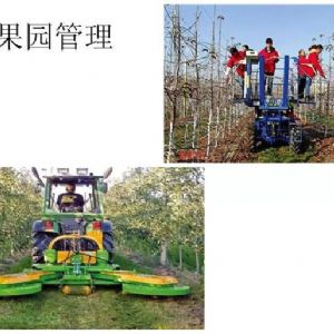 蘋果、桃、櫻桃主要病害防治技術