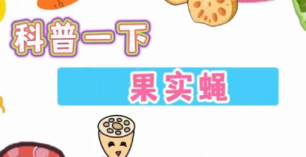 仕達農(nóng)業(yè)科技科普一下果實蠅